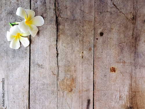 wood textured background with flower.
