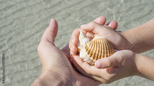  Shells in the hands on background of the sea