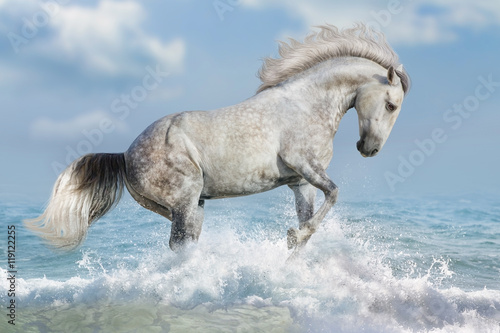 Fototapeta Naklejka Na Ścianę i Meble -  White horse run in ocean vawes