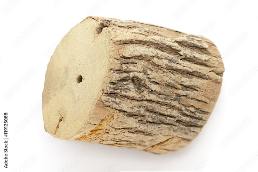 Obraz premium Organic dry wood piece of Horseradish tree (Armoracia rusticana). Isolated on white background. Top view.