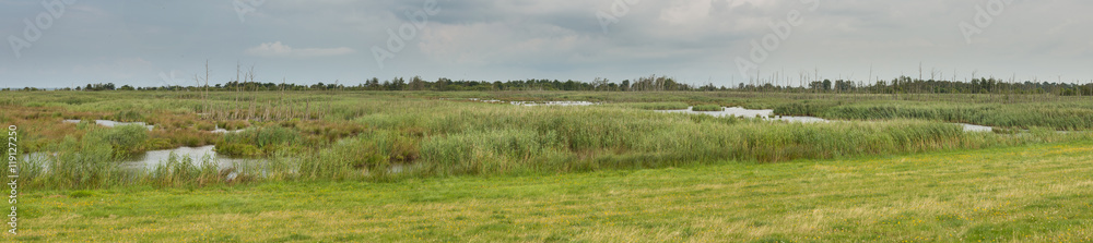 moorland in the reserve Zingst, panorama moorland in the reserve Zingst, panorama