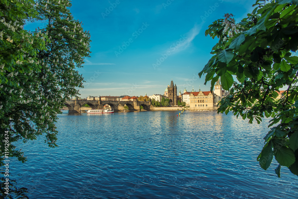 Fototapeta premium the Charles Bridge