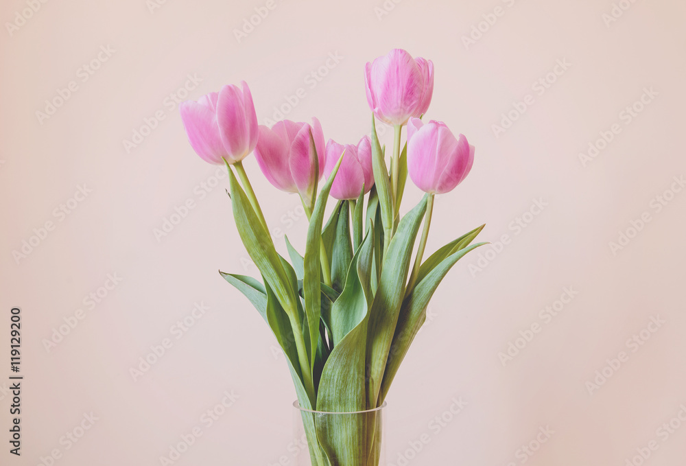 beautiful tulips beautiful tulips