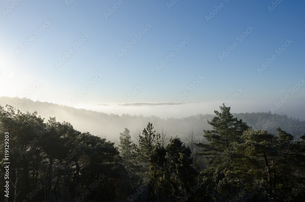 fog over the valley