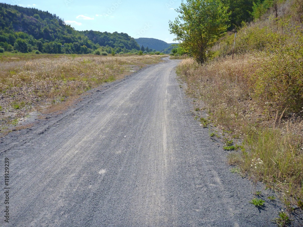 Fototapeta premium empty dirt gravel road with dry grass