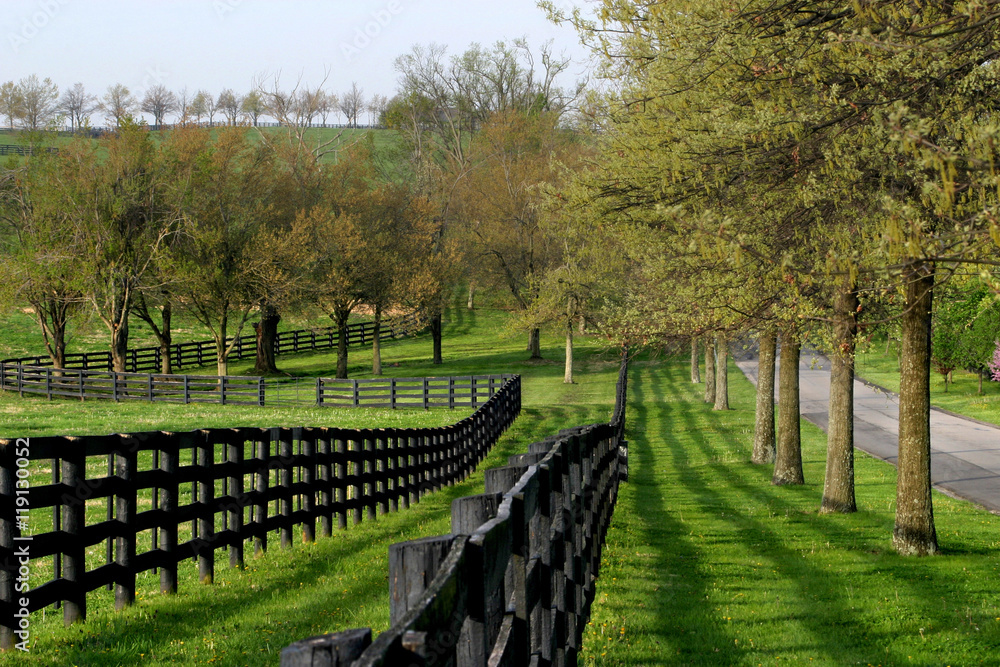 Fototapeta premium Fence Line and Lane