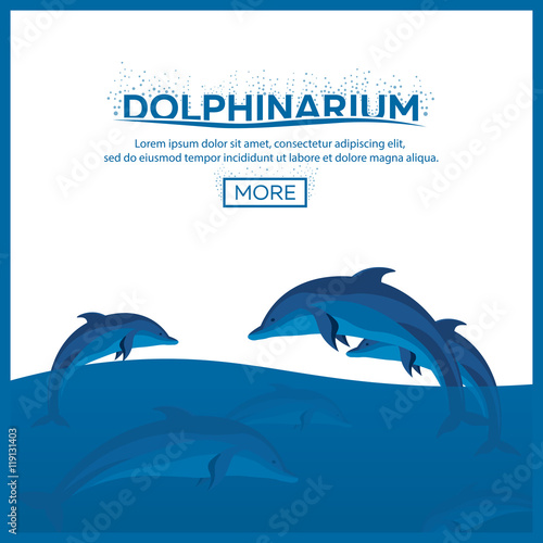 Dolphinarium. Dolphin show. Banner. Vector flat illustration.
