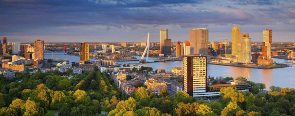 Fototapete Rotterdam Rotterdam Panorama im Sommer Sonnenuntergang  © rudi1976
