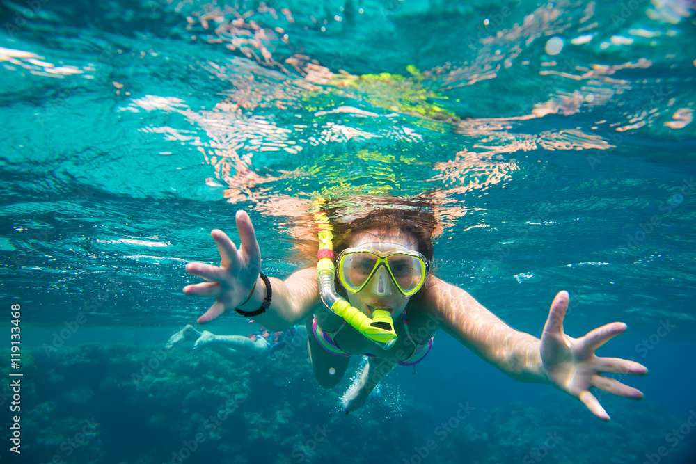 Fototapeta premium snorkeling in the Red Sea 