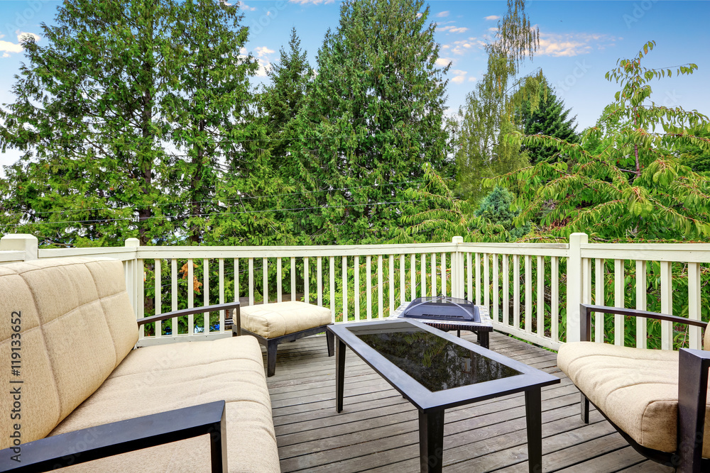 Back deck with outdoor furniture and nice view - obrazy, fototapety, plakaty 