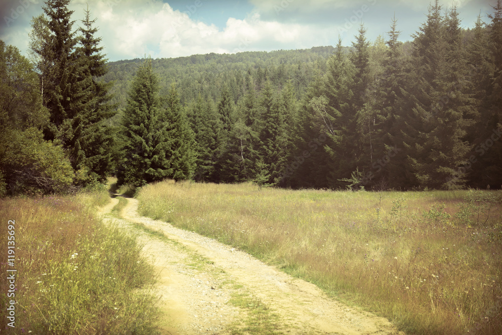 Obraz premium colorful spring landscape