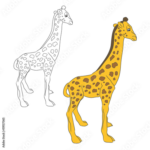 Two circuits giraffe