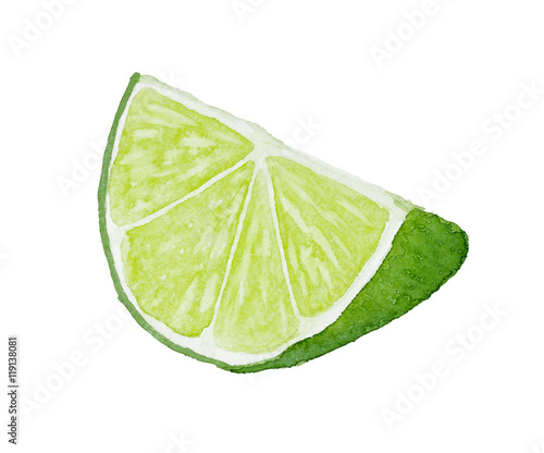 Watercolor slice of lime isolated on white background.