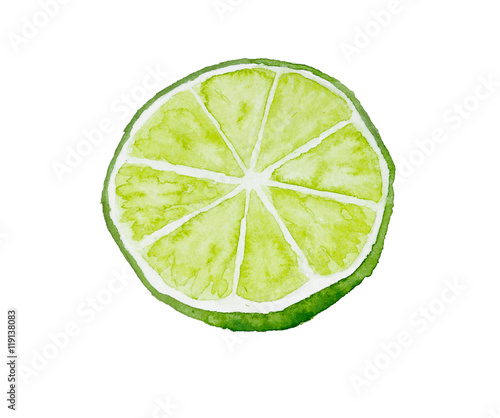 Half of lime. Watercolor illustration. Drawn by hand.