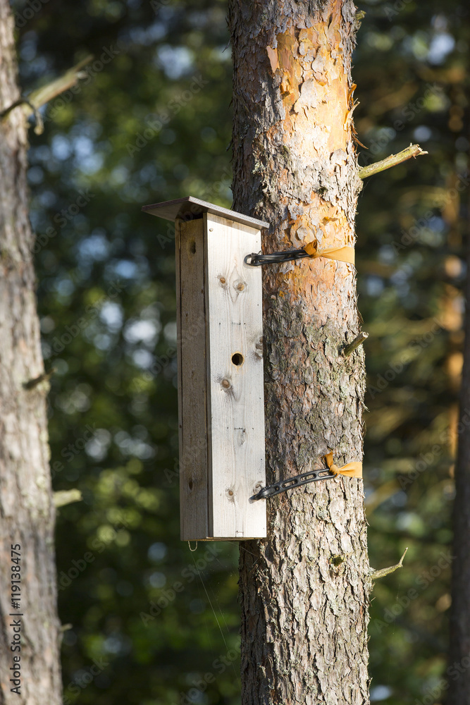 Apartment house for birds on a pine tree. The bird house is a skyscraper, three stores high. Apartment house for birds on a pine tree. The bird house is a skyscraper, three stores high.