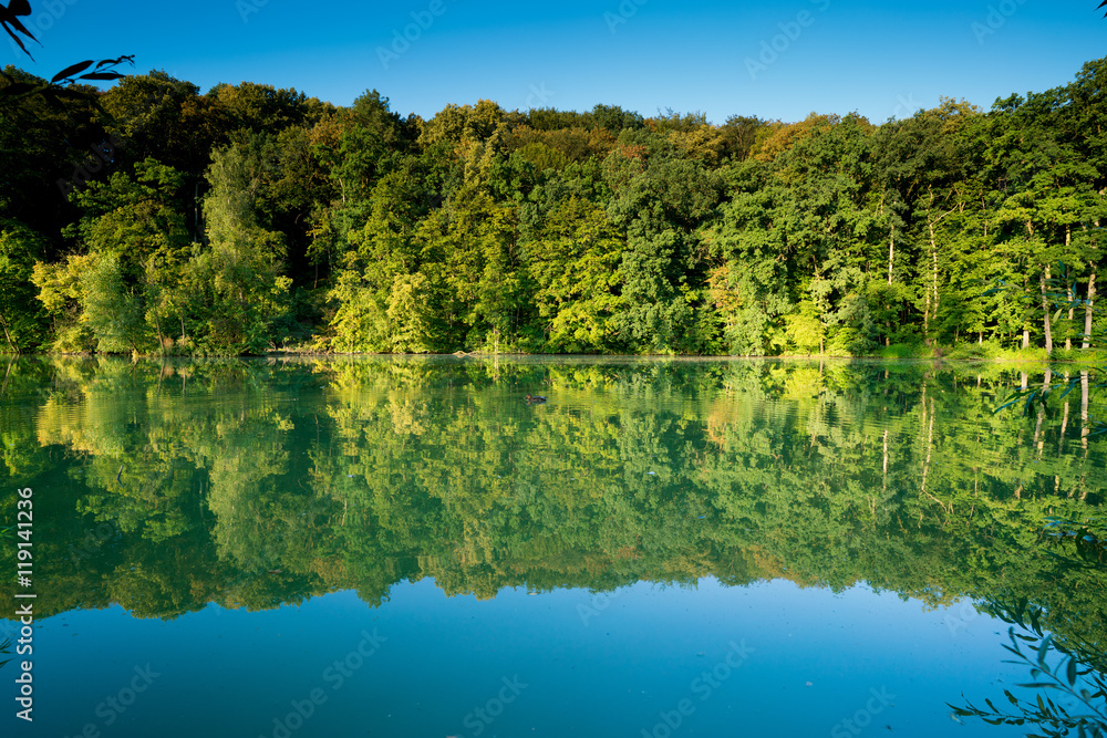 Lake and green forest