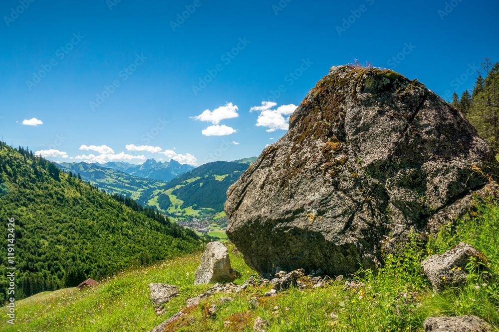 Obraz premium Alp oderhalb Zweisimmen