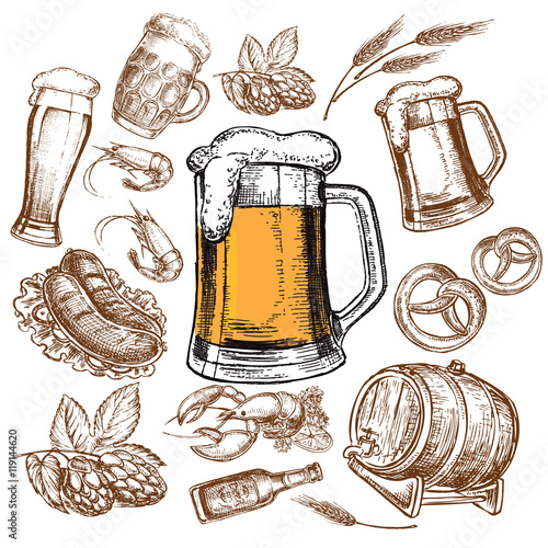 hand drawn sketch illustration beer collection