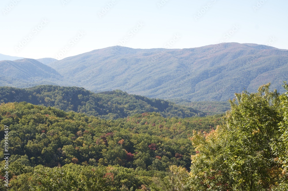 Clear Day in the Smokies Clear Day in the Smokies
