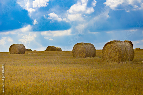 Golden straw bales on farmland. Abstract background.
