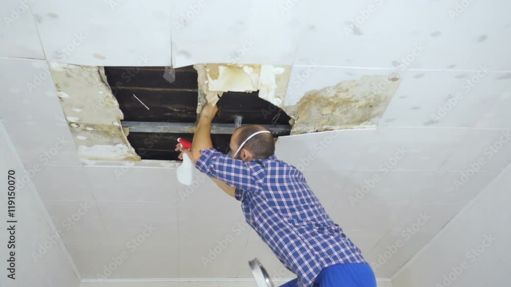 Man in respirator cleaning mold on ceiling.Ceiling panels damaged huge