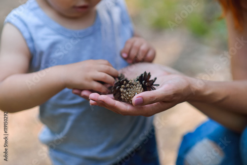 Mother and her little son discovering nature looking on pine-tree cones, close-up