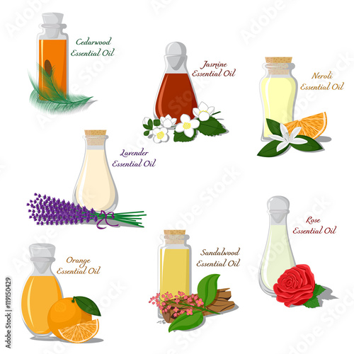 Vector set of bottles filled with essential oils