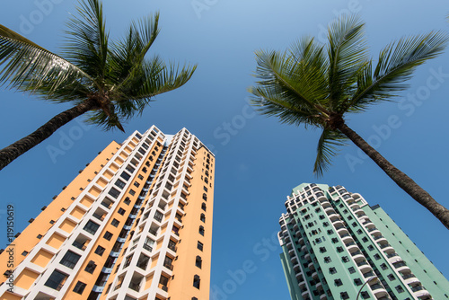 Tall Condominium Buildings and Palm Trees in Blue Sky