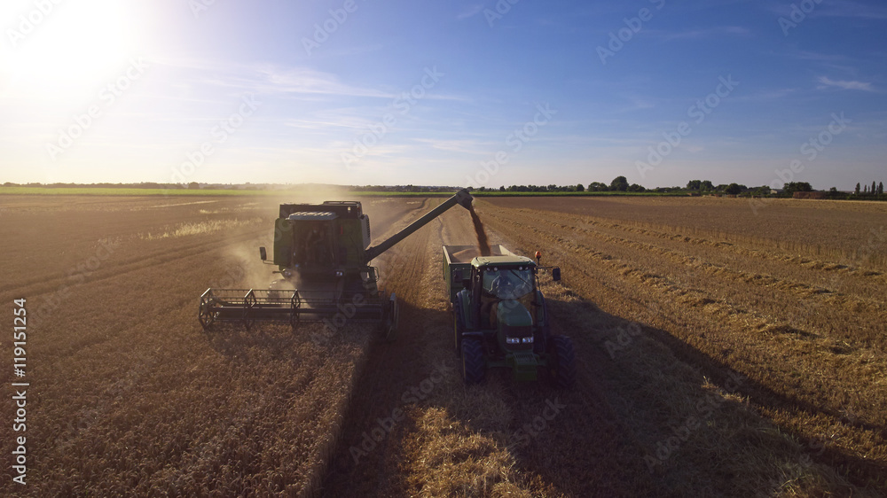 Fototapeta premium Aerial View As Tractor Collects Wheat From Combine Harvester