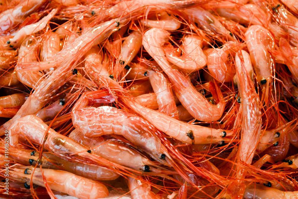 Fresh Raw Shrimp Fresh Raw Shrimp