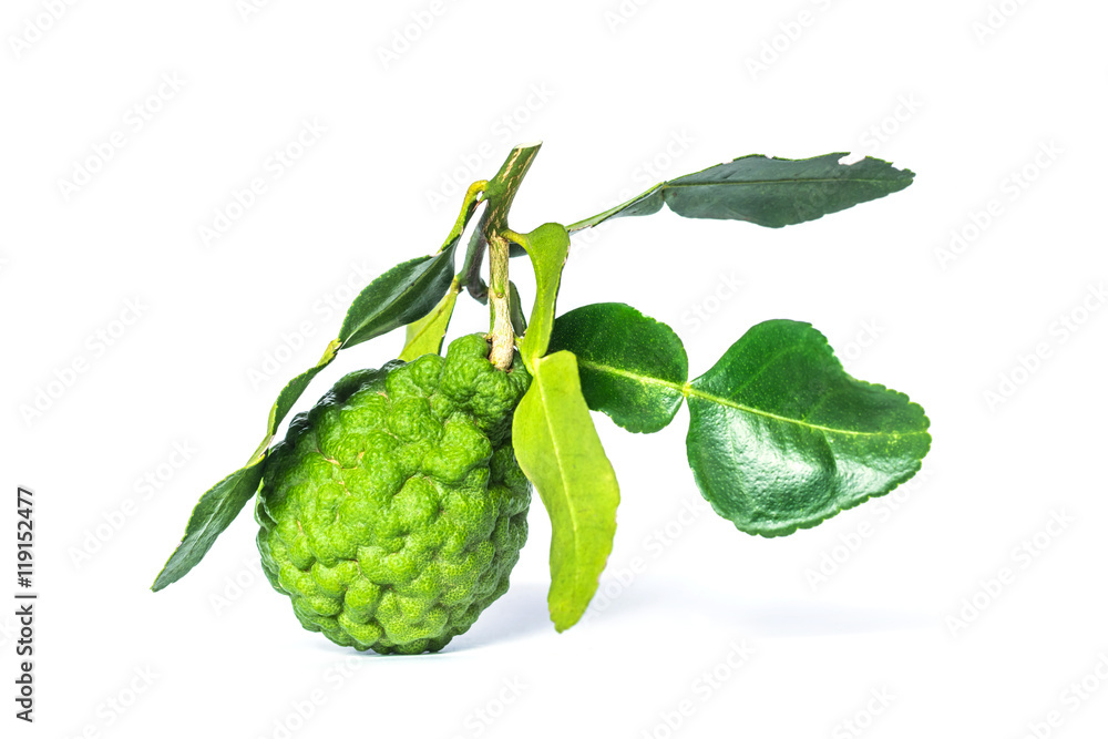 Fototapeta premium Bergamot fruit (Kaffir Lime) with leaves isolate on white background