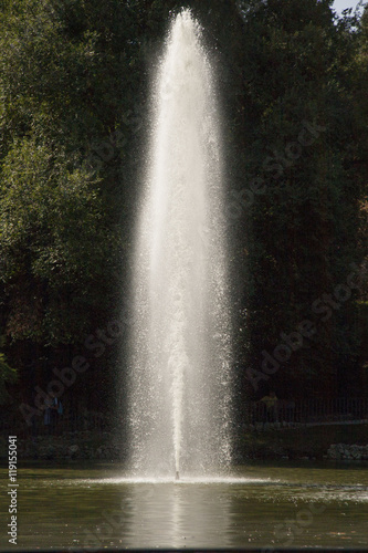 Waterjet in the pond