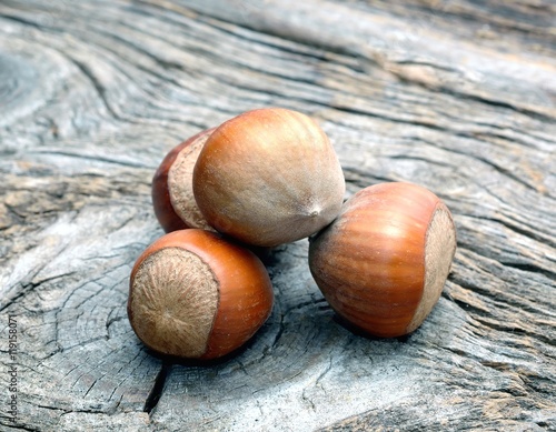 Hazelnuts on wooden background