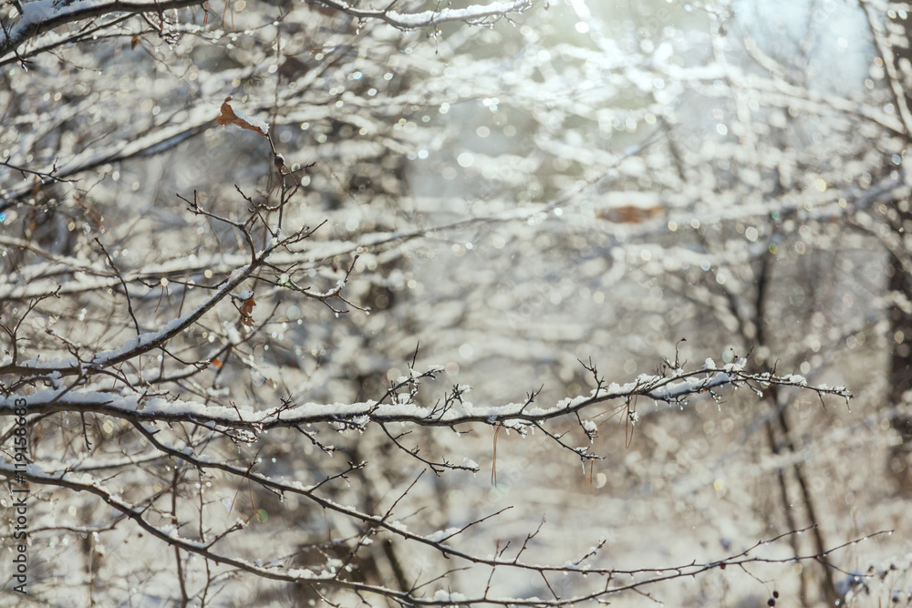 Frozen tree Frozen tree