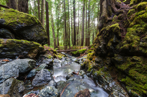 Waterfall in Vancouver