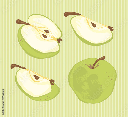 Hand draw illustration of apple slices on a white background