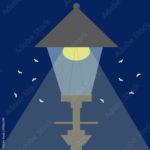 A lamppost with many midges in the night