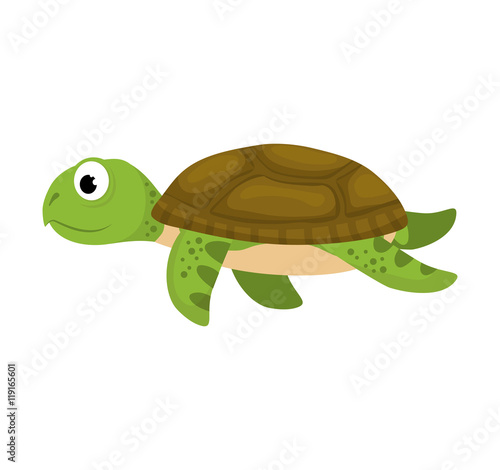 tortoise sea life animal cartoon icon. Isolated and flat illustration. Vector graphic