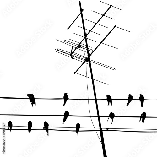 Vector illustration with silhouette of birds on wire and antenna