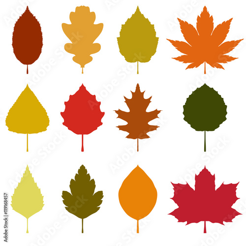 Autumn leaves symmetric silhouette set. Vector illustration.