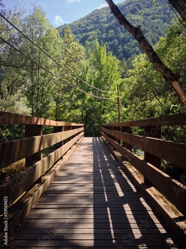 Ponte in montagna