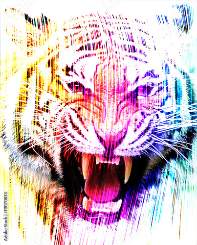 Fototapeta Naklejka Na Ścianę i Meble -  Angry Tiger face