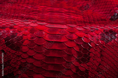 Python snakeskin leather background, snake skin, texture, animal, reptile
