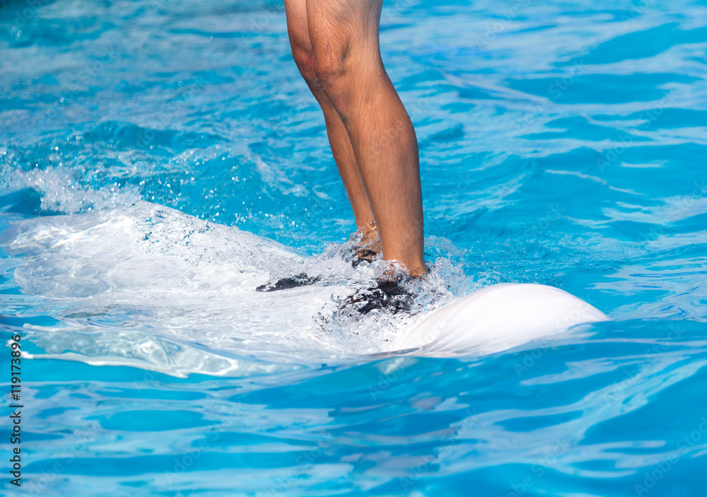 man standing on a white dolphin in the pool
