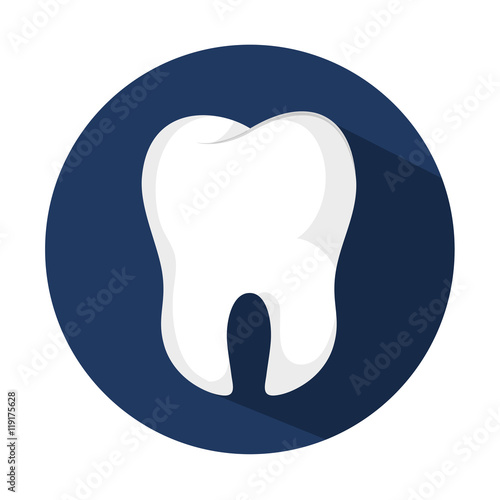 tooth human seal icon vector illustration graphic