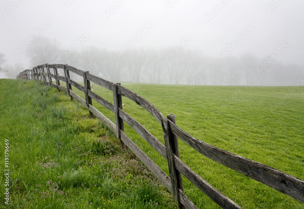 Fototapeta premium Fence Line