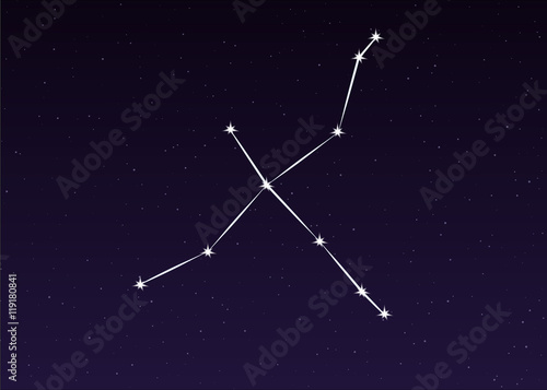 cygnus constellation vector