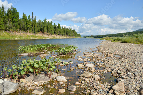 River in the mountain taiga of the Northern Urals.