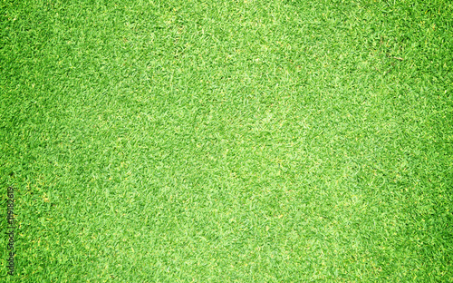 Golf Courses green lawn pattern textured background.