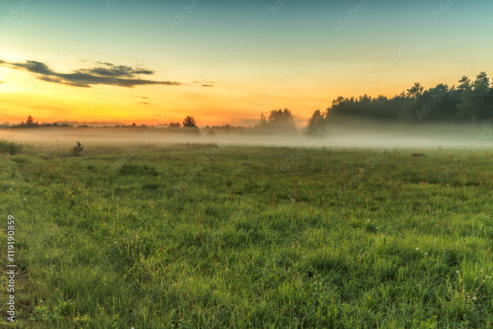Fog covers the fields in evening